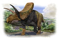 Torosaurus.jpg