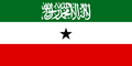 Flag.Somalilend.png